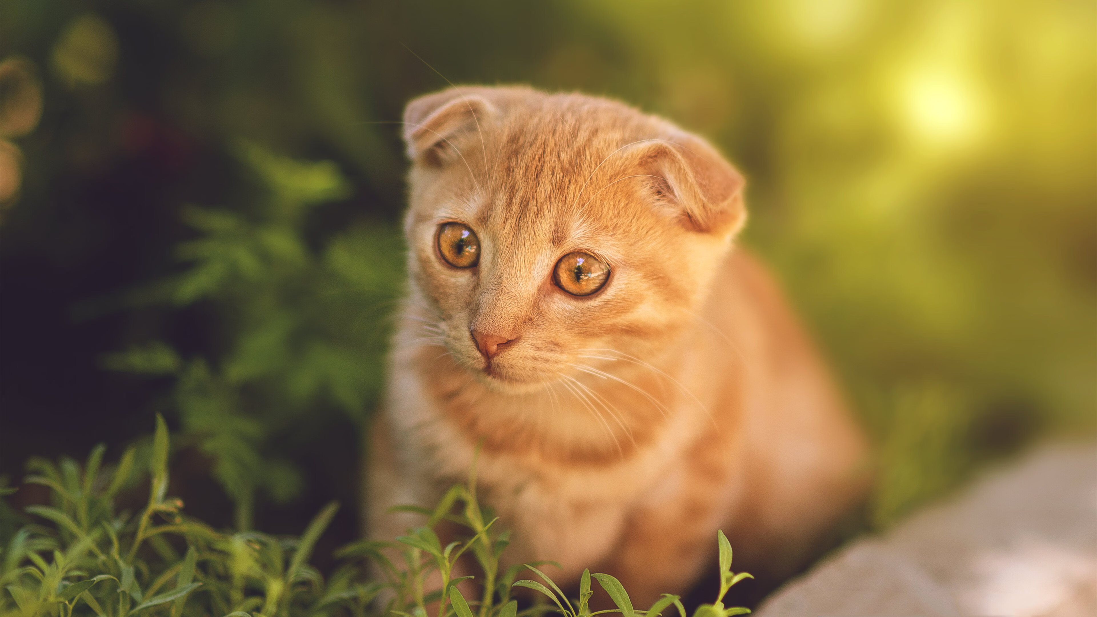 VALORANT 新赛季战术趋势明显，valorant玩法