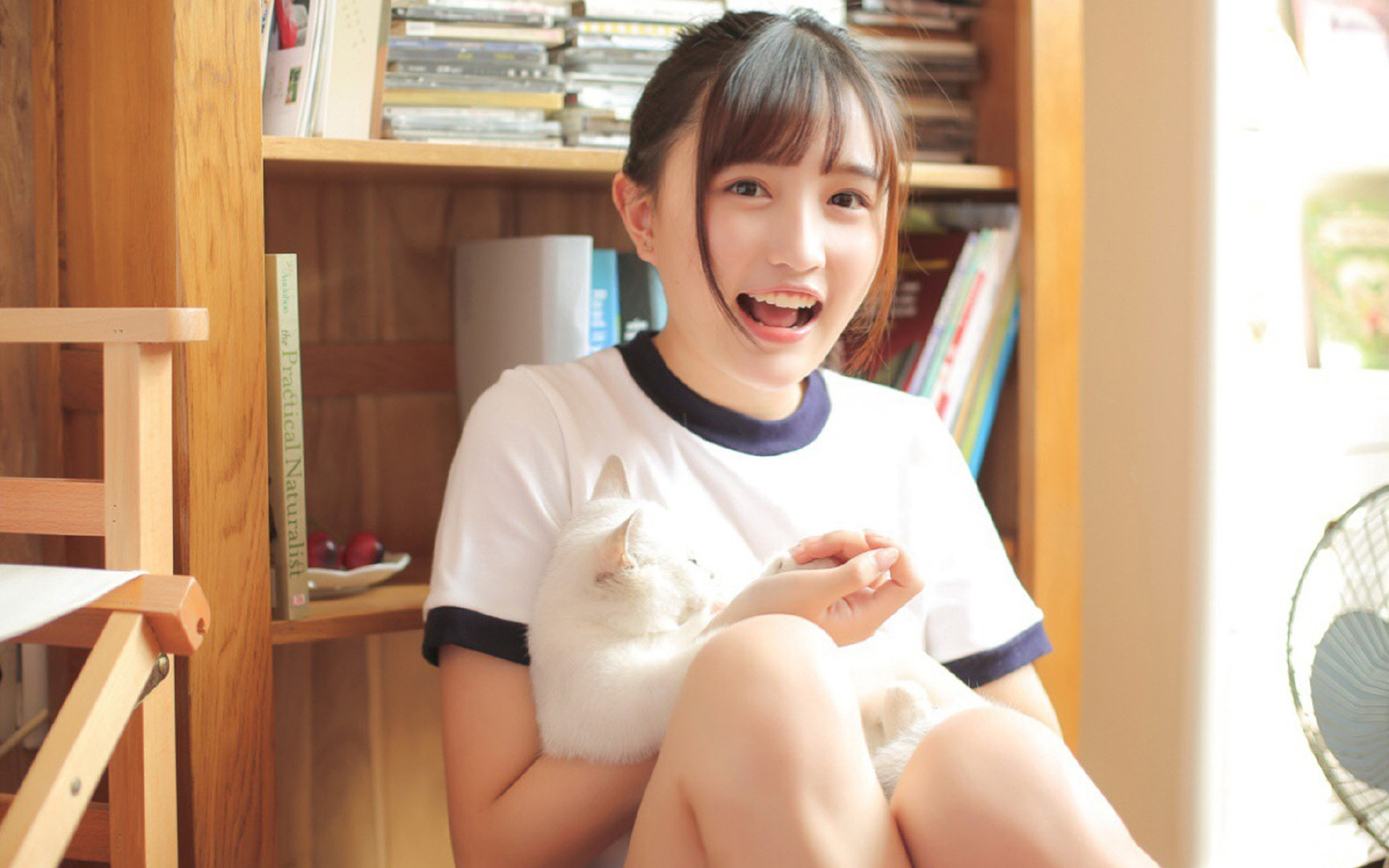 开云网页版-_城市跑酷天际线：用速度点亮天际_，城市天际线公路限速