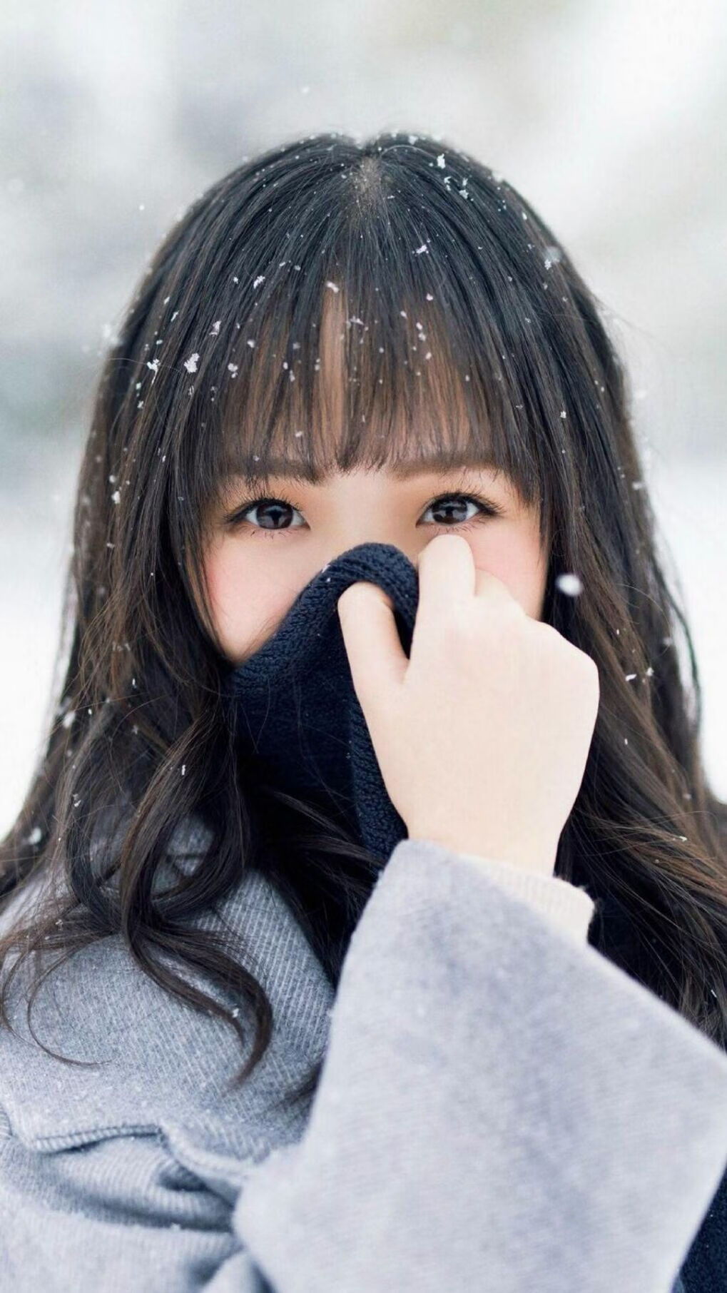 开云kaiyun-_爵士队战术多样，连续取胜_，爵士队百度百科