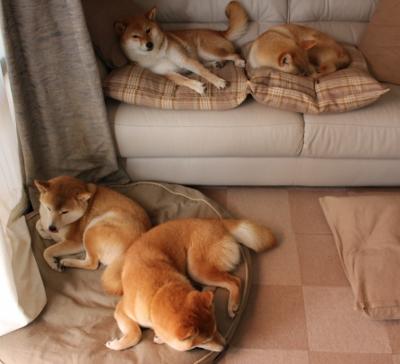 开云中国-青少年“学习+运动”结合的“未来学院”青训项目在全国推广，青少年运动教育