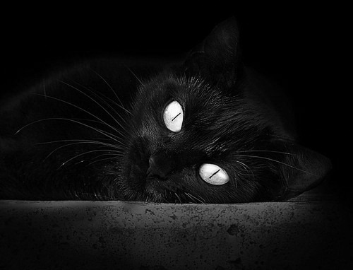 凯尔特人加强防守端稳固篮板,凯尔特人补强