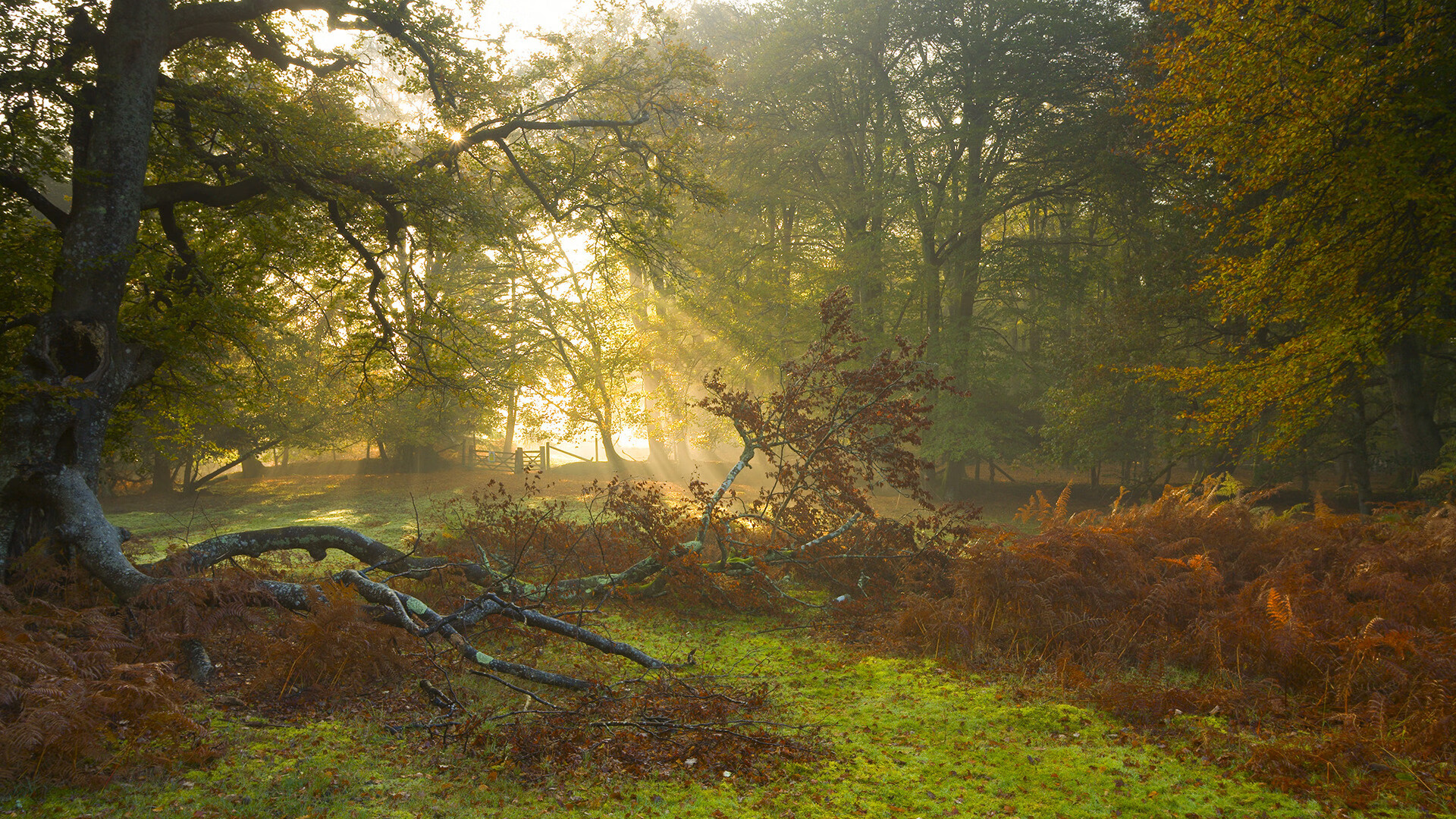 kaiyun网站-维达德卡萨布兰卡备战非洲冠军联赛，目标夺冠，大伟卡萨布兰卡
