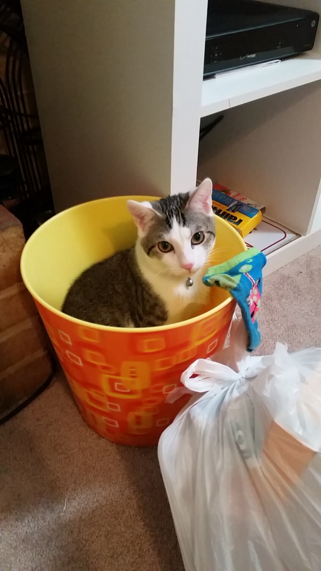 葡萄牙队在大赛中击败对手,目标冠军稳如泰山,葡萄牙 比赛