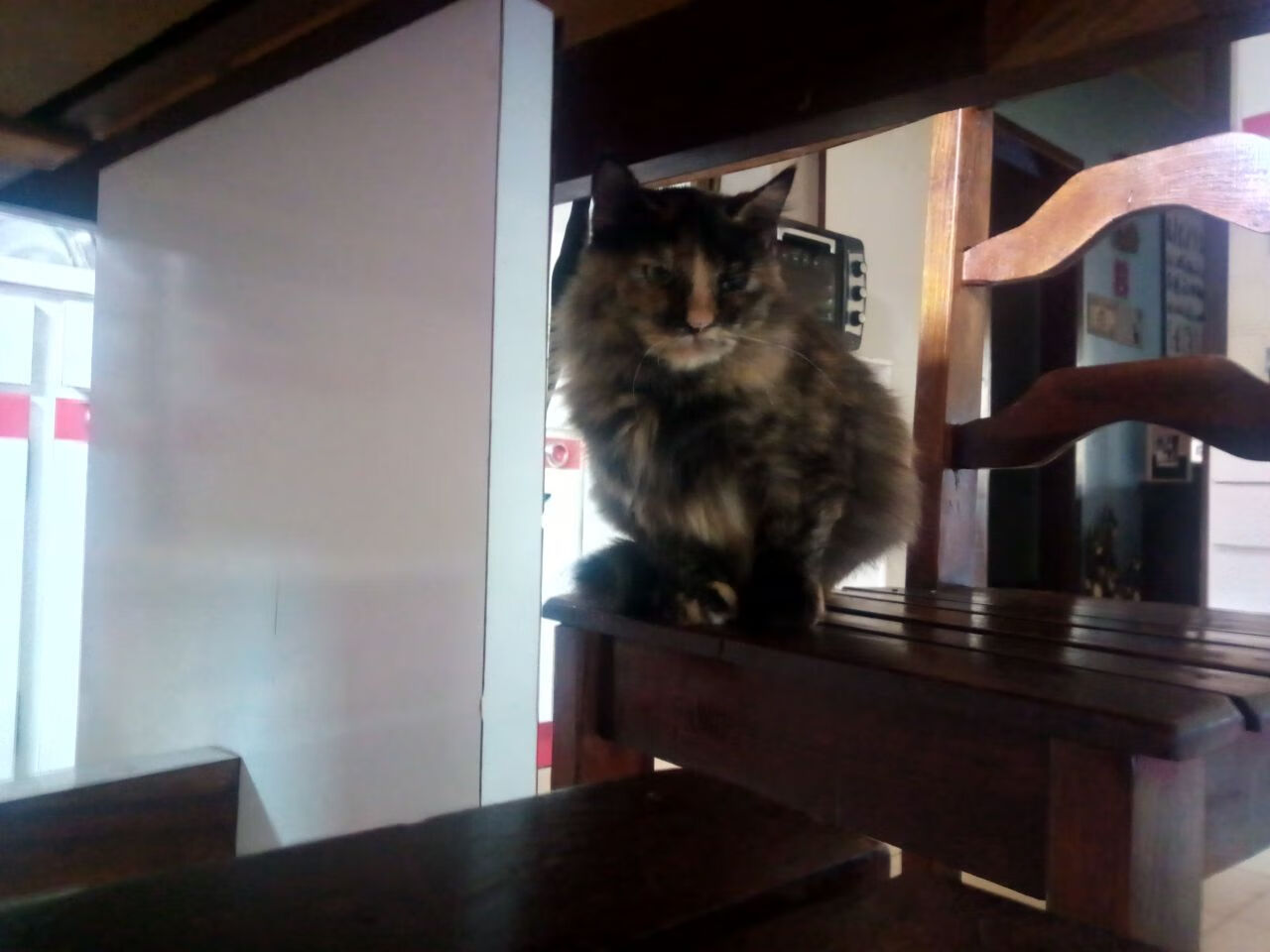 俱乐部财务管理混乱,俱乐部财务计划