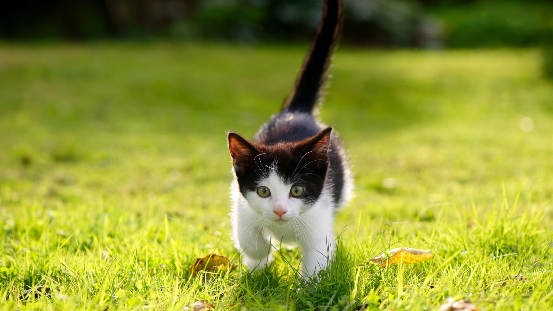 开云网页版登录入口-冬季运动推广月启动覆盖多地学校，冬季运动活动主题