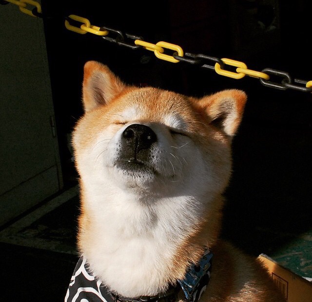 开云入口-掘金全队拍摄新宣传照风格大胆，掘金队员