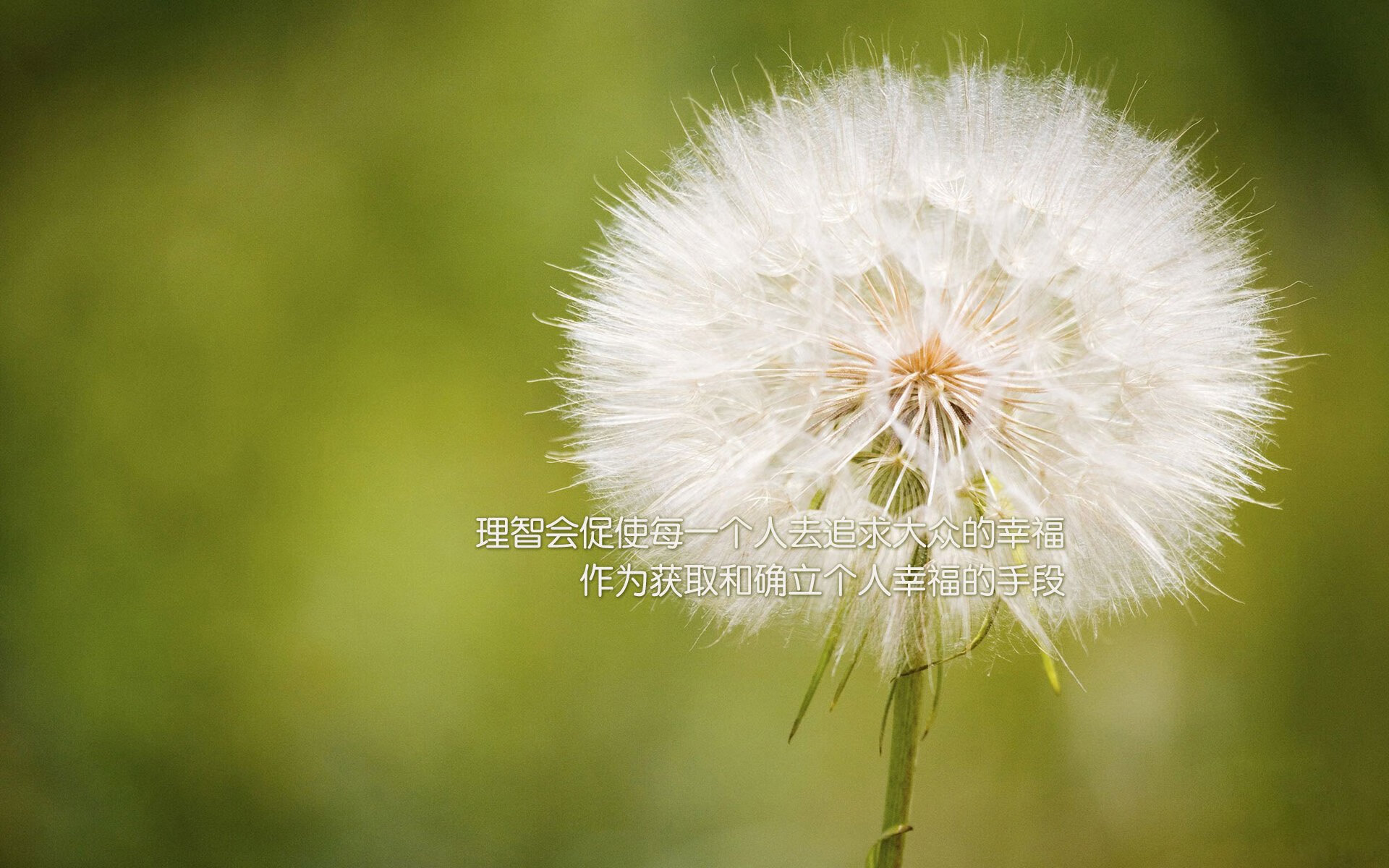 kaiyun官方入口登录-马拉维男篮在非洲锦标赛中持续夺冠，彰显强大实力，独创非洲马拉维